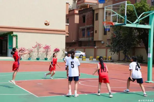 篮球小学生基本功训练教学反思怎么写_1