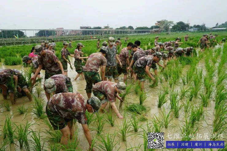 职业篮球运动员分享比赛中的训练心得_0